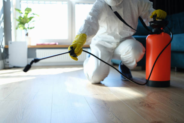Trusted Odor Removal service in March Air Reserve Base, CA - Four Month Blood Cleanse